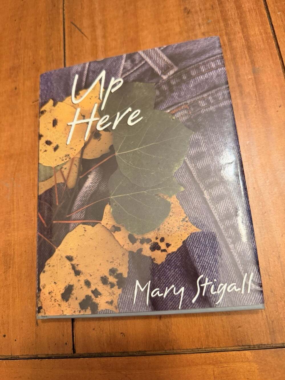 UP HERE Mary Stigall SIGNED Hardcover 2002 Lake City Colorado Memoir Nature